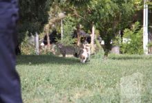 گزارش تصویری آزمون دوره نیاز محلی هلال احمر